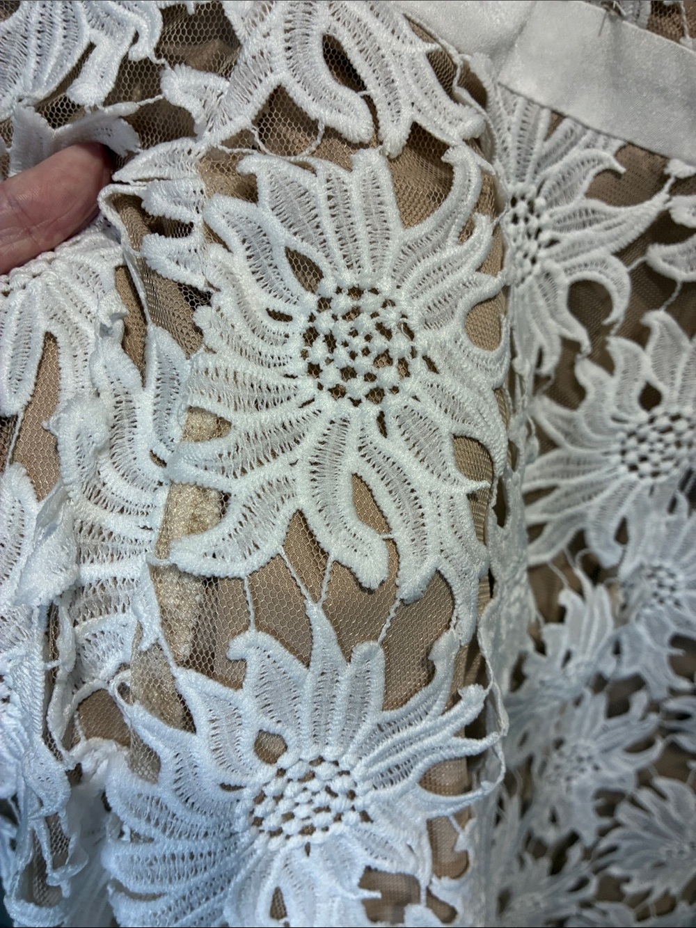 Adrianna Papell Ivory Lace Nude Illusion Fit & Flare Cocktail Dress 12 - Picture 5 of 9